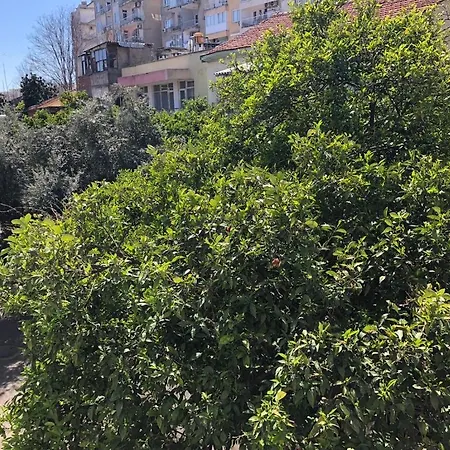 Merkez Deniz Yakini Muhtesem Mutfakli Antalya