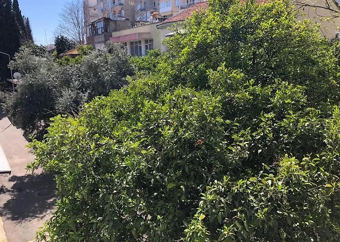 Merkez Deniz Yakini Muhtesem Mutfakli 안탈리아